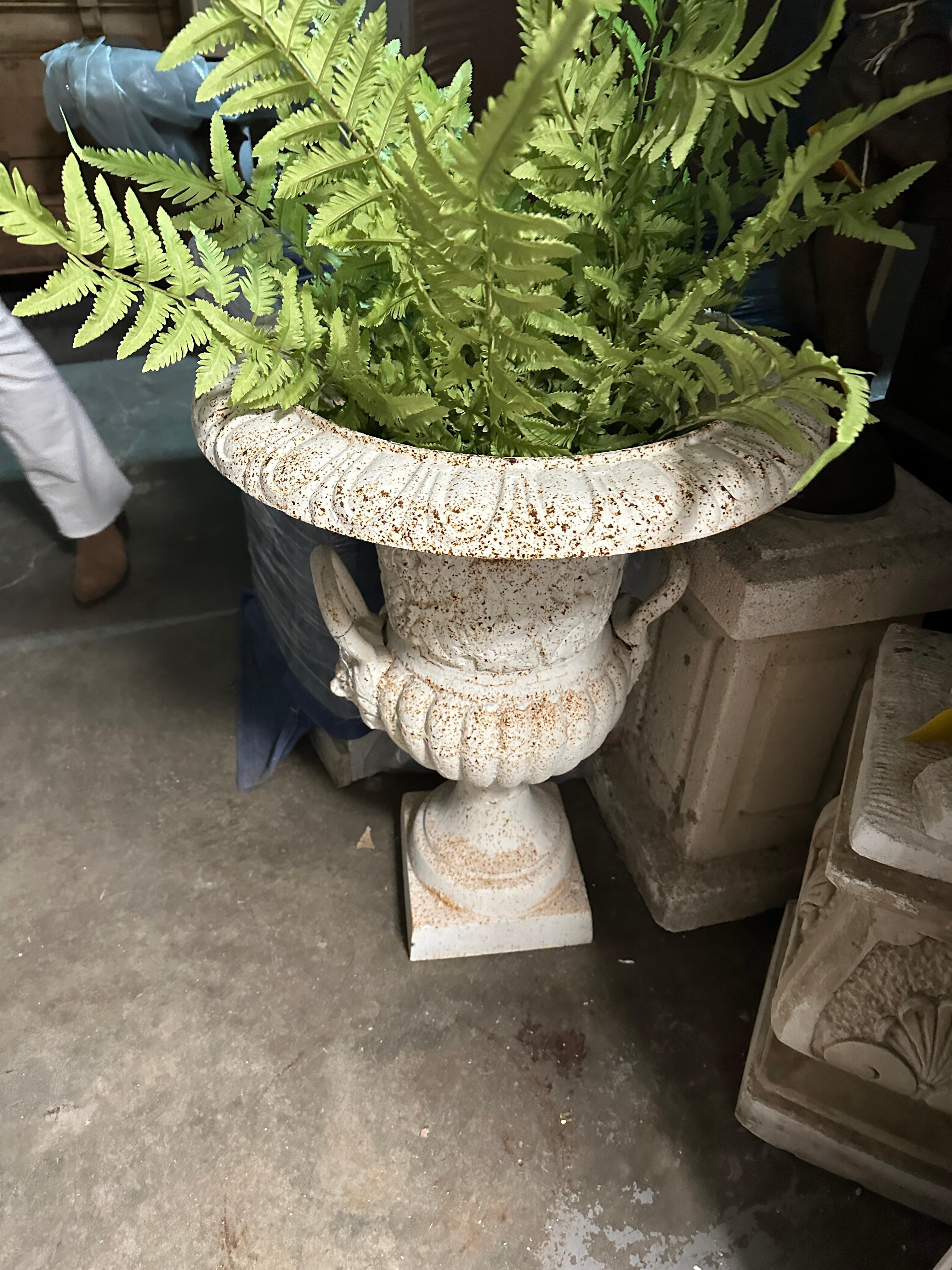 French Vintage White Cast Iron Campana Lion Mask Urn Planters, a Pair For Sale