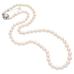 Halskette aus Weißgold mit Perlen- und Diamant-Blumenverschluss und Perlenverschluss und Perlenverzierung
