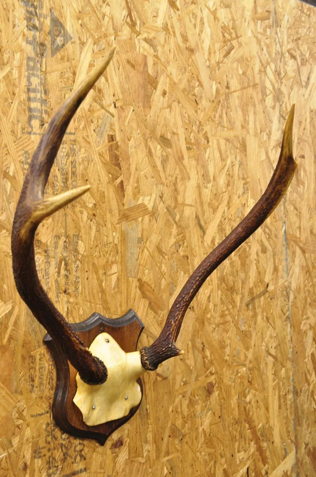 Vintage Whitetail Deer (Faux/Plastic Skull) Mount Antlers Taxidermy Mancave Wall Decor. Mid Late 20th Century. Measurements (Overall): 26