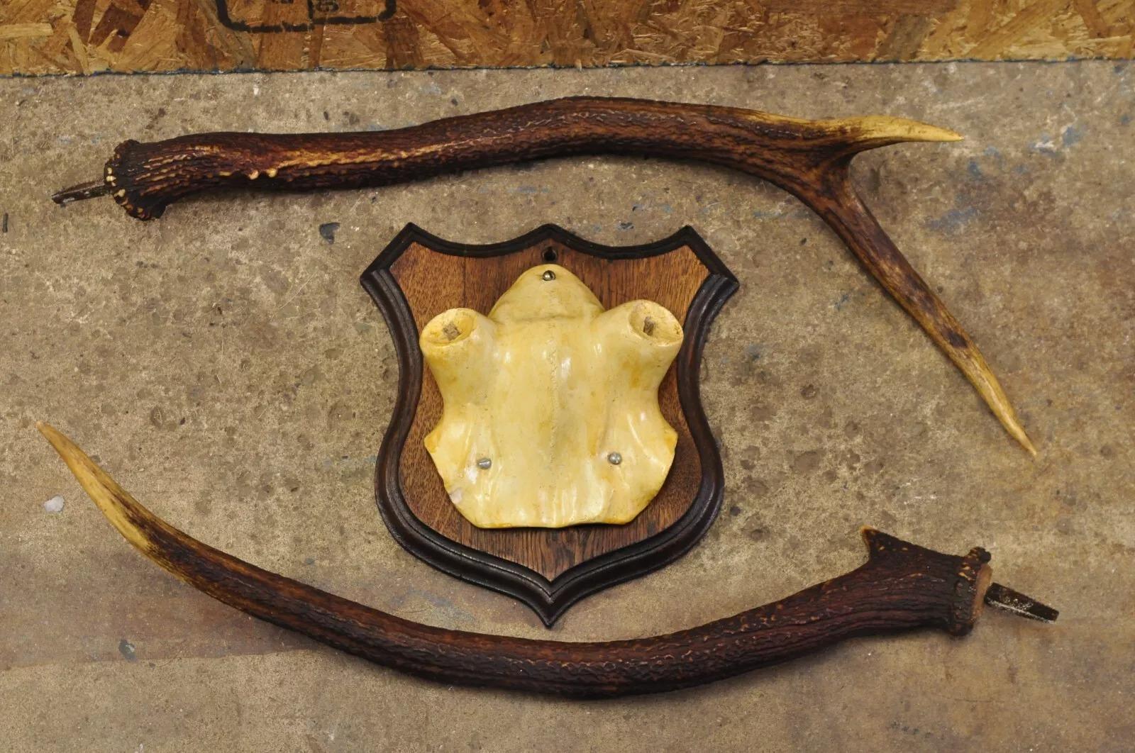 Rustic Vintage Whitetail Deer Faux Skull Mount Antlers Taxidermy Mancave Wall Decor