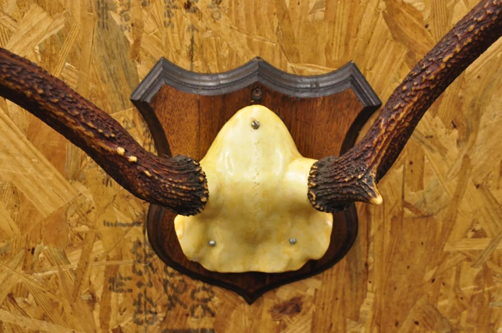 Vintage Whitetail Deer Faux Skull Mount Antlers Taxidermy Mancave Wall Decor 1