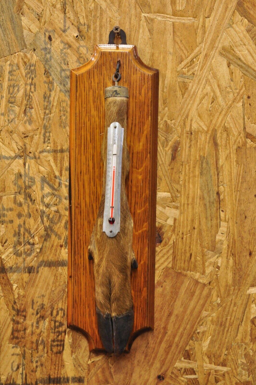 Vintage Whitetail Deer Hoof Foot Taxidermy Wall Thermometer on Oak Wood Plaque For Sale 3