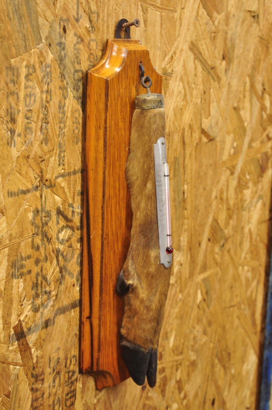 Vintage Whitetail Deer Hoof Foot Taxidermy Wall Thermometer on Oak Wood Plaque For Sale 4