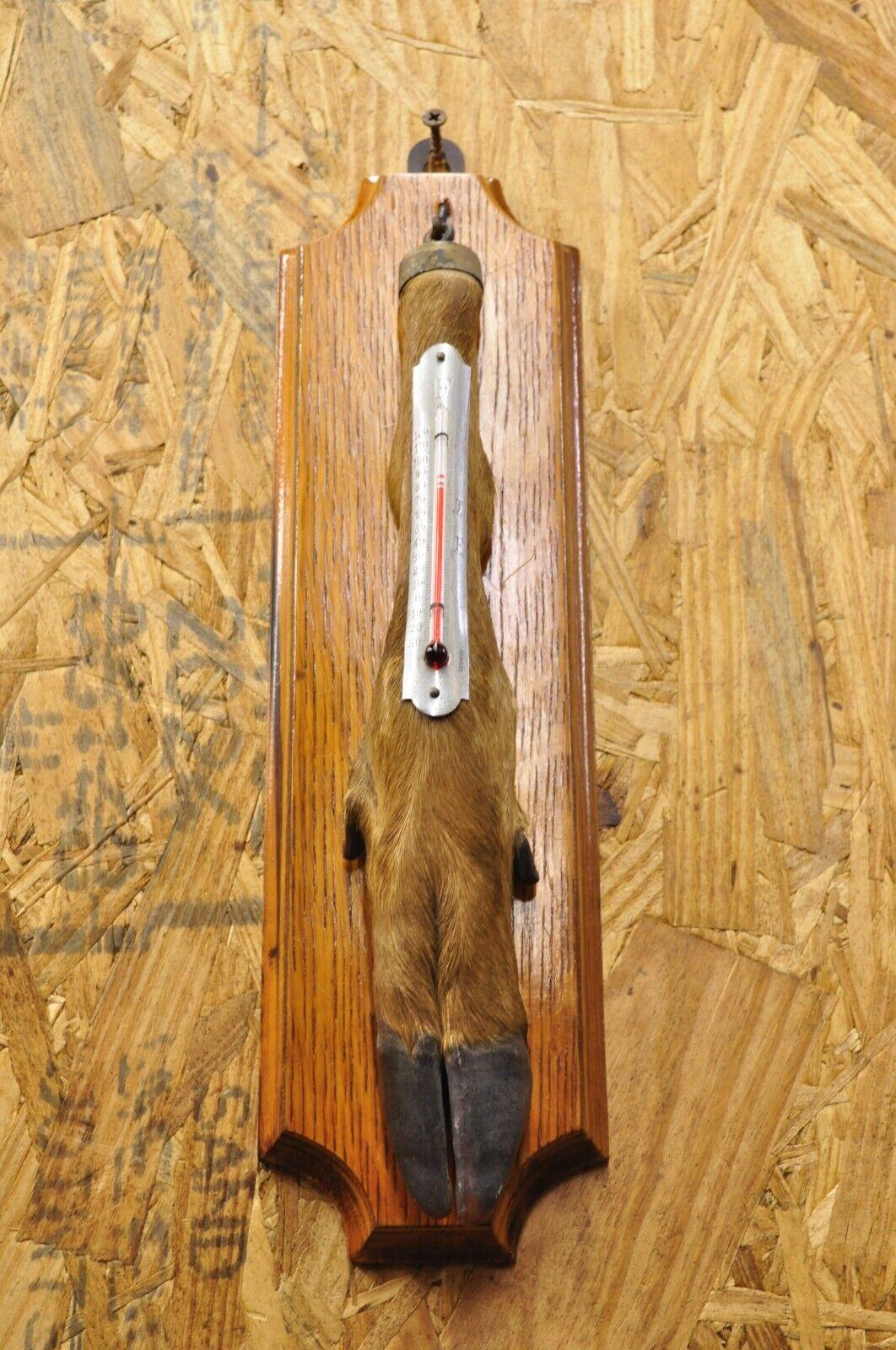 Vintage Whitetail Deer Hoof Foot Taxidermy Wall Thermometer on Oak Wood Plaque For Sale 5