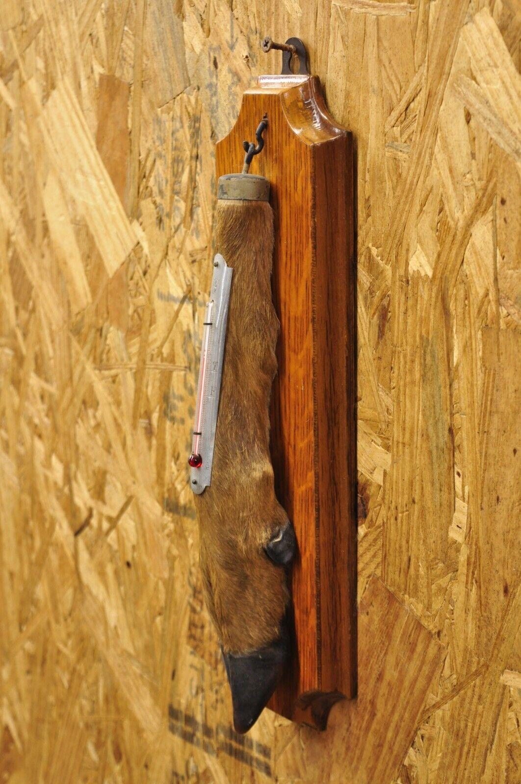 Vintage Whitetail Deer Hoof Foot Taxidermy Wall Thermometer on Oak Wood Plaque. Circa Early 20th Century. Measurements (Overall): 15
