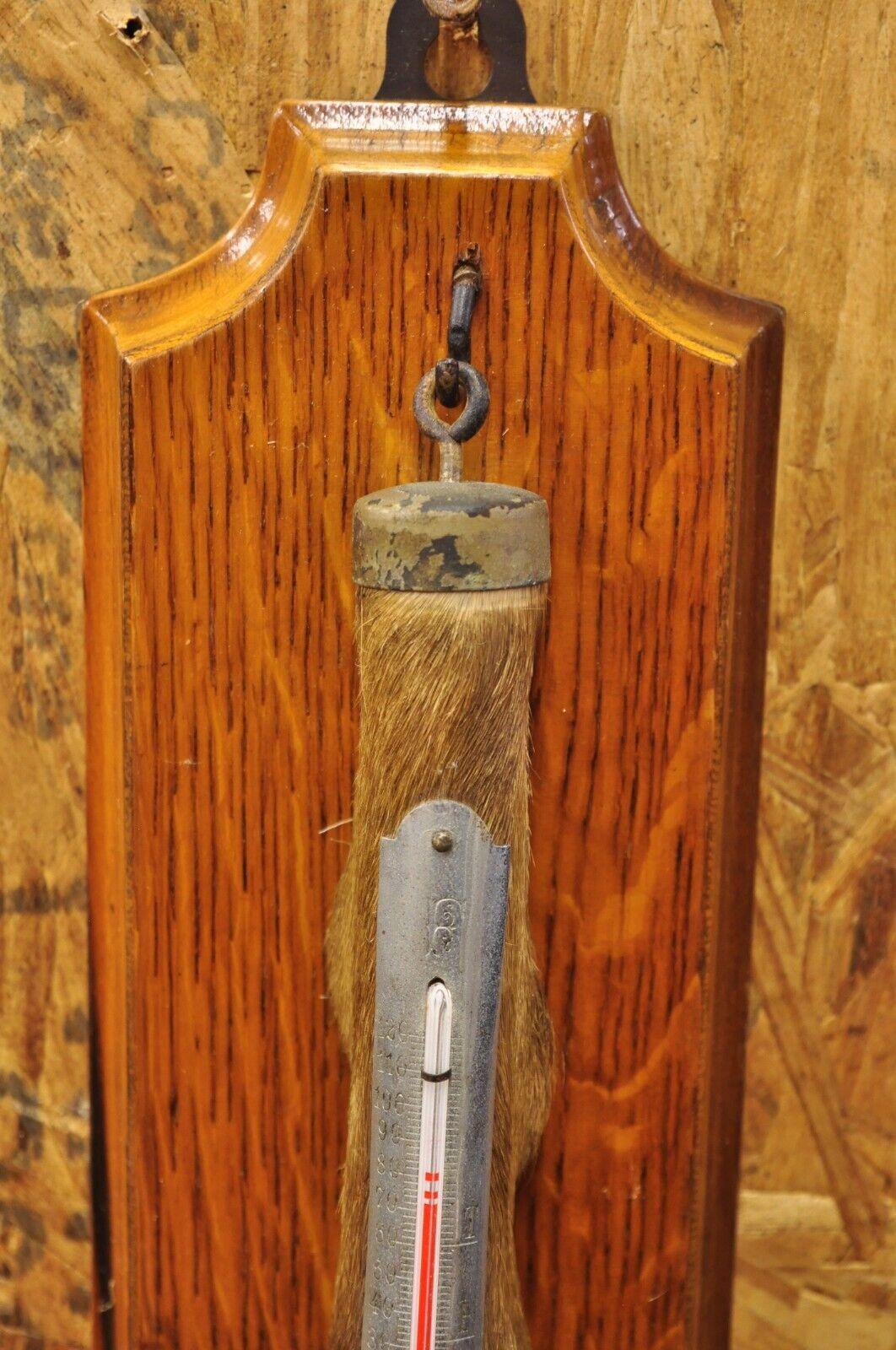 Vintage Whitetail Deer Hoof Foot Taxidermy Wall Thermometer on Oak Wood Plaque In Good Condition For Sale In Philadelphia, PA