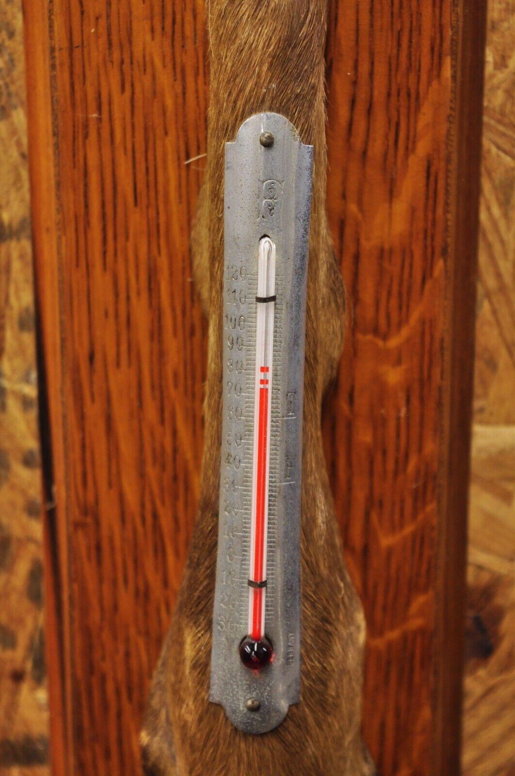 Vintage Whitetail Deer Hoof Foot Taxidermy Wall Thermometer on Oak Wood Plaque For Sale 2