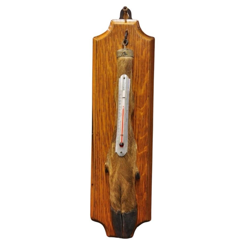 Vintage Whitetail Deer Hoof Foot Taxidermy Wall Thermometer on Oak Wood Plaque For Sale