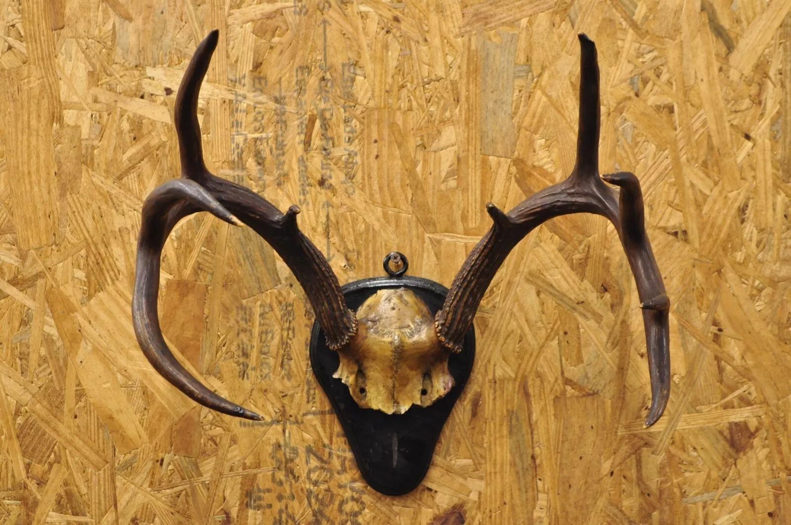 Rustic Vintage Whitetail Deer Skull Trophy Wall Mount Antlers Taxidermy Mancave Decor