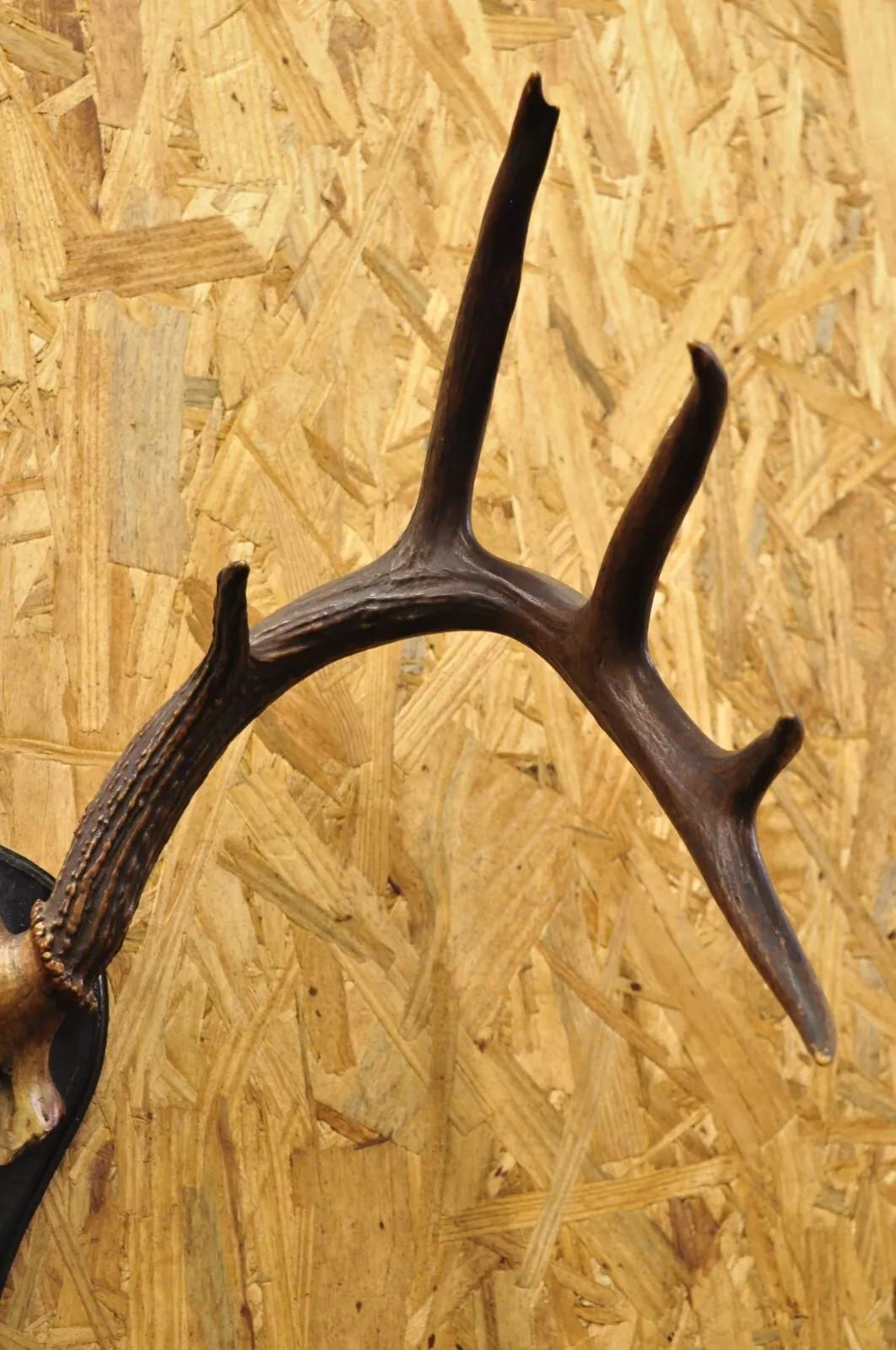 Vintage Whitetail Deer Skull Trophy Wall Mount Antlers Taxidermy Mancave Decor 1