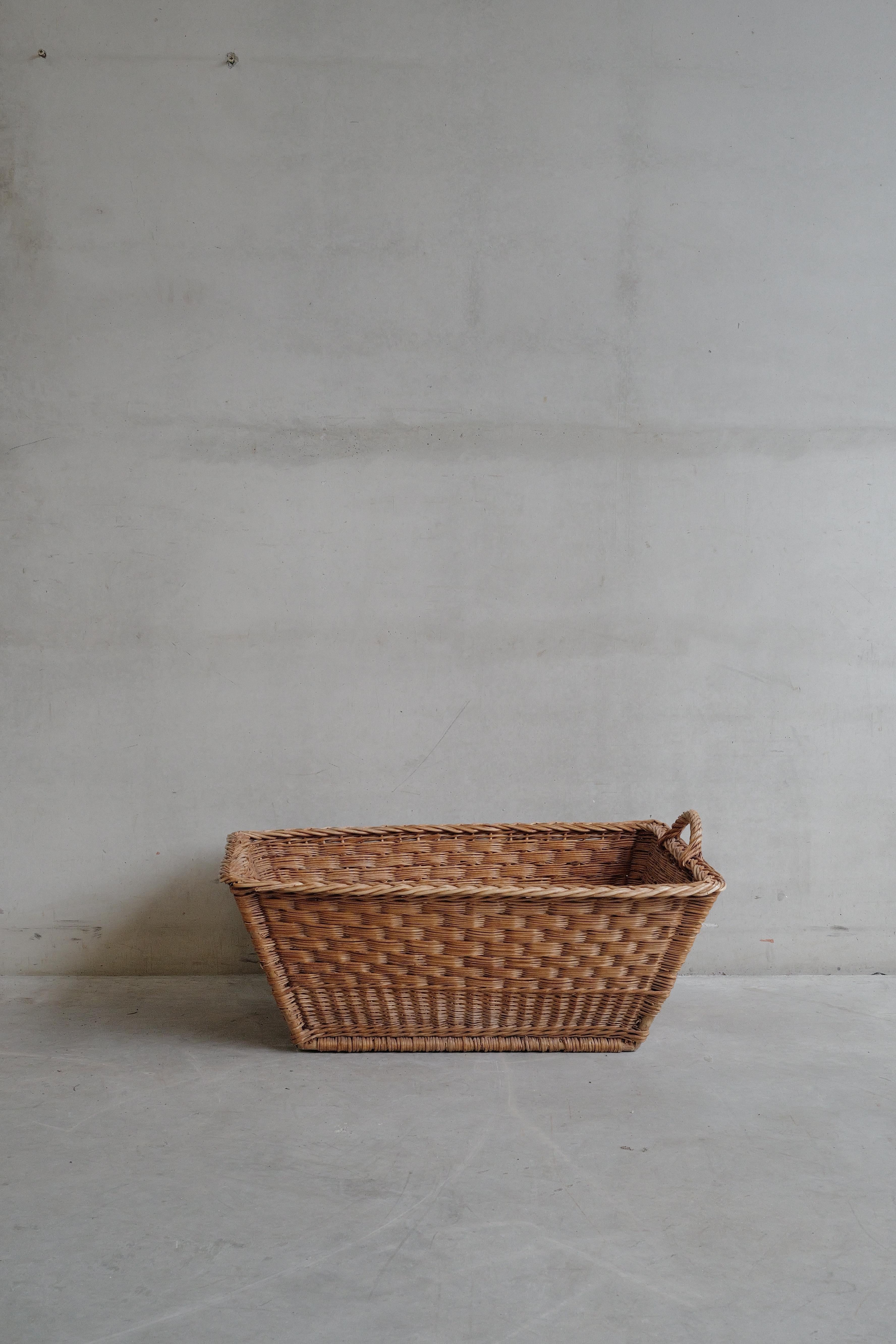 Antique French Cesta de cosecha tejida - Principios del siglo XX
Una cesta de mimbre francés, bellamente envejecida y tejida a mano, de mimbre natural, con una forma ancha y afilada y robustas asas de cuerda retorcida. Tradicionalmente utilizadas