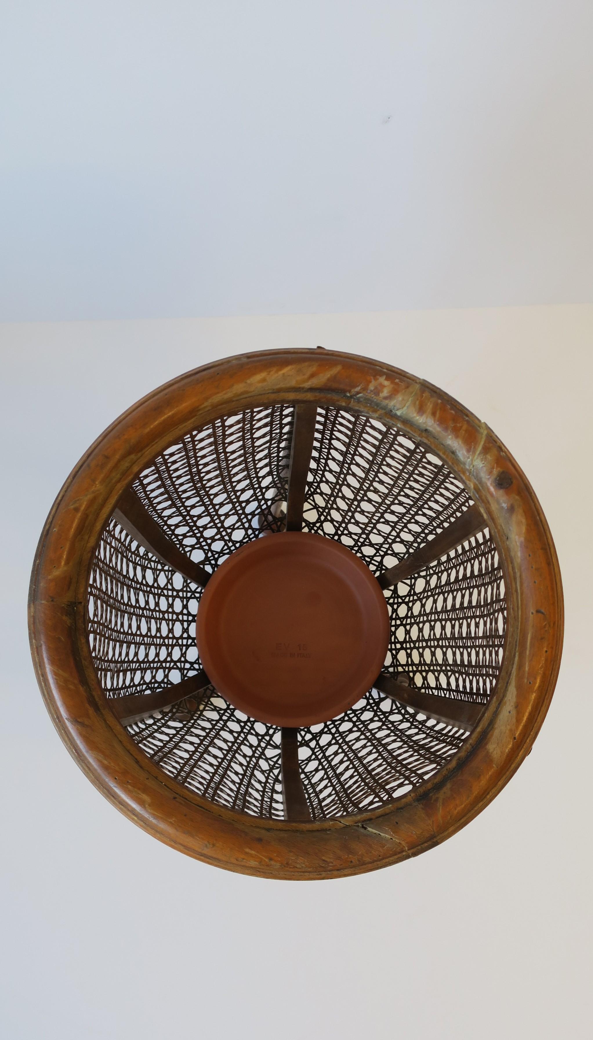 cane plant holder