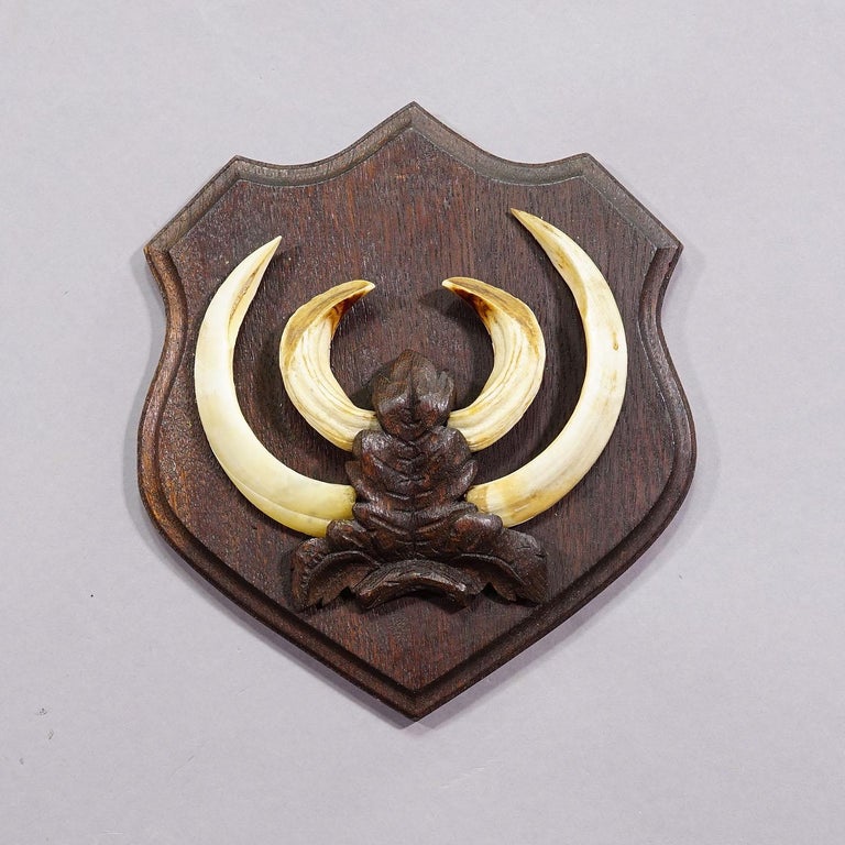 Decorazione Foglie Quercia Per Trofeo Cinghiale - Fissaggio Denti E Gres, Metallio Bronzo Anticato - Foto 9