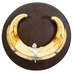 Vintage Wild Boar Teeth Trophy on Wooden Plaque, Germany