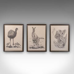 Vintage Wildlife Picture Trio, Australian Interest, Framed Prints, Animal Art