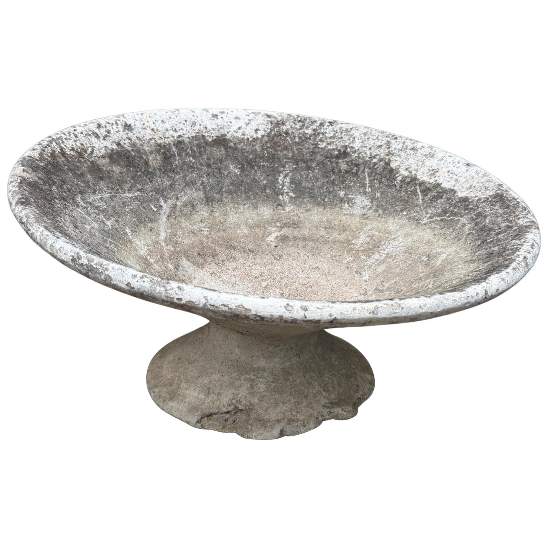 What to plant in shallow planters?