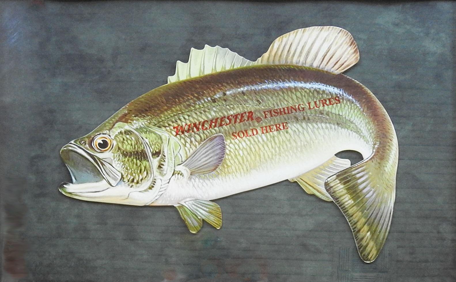 Vintage die cut cardboard advertising sign. Large mouth bass with Winchester Fishing Lures sold here. Mounted on mottled green paper. Displayed under glass in vintage oak frame, fish is 18