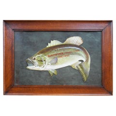 Vintage Winchester Fishing Lures Sold Here Die Cut Sign