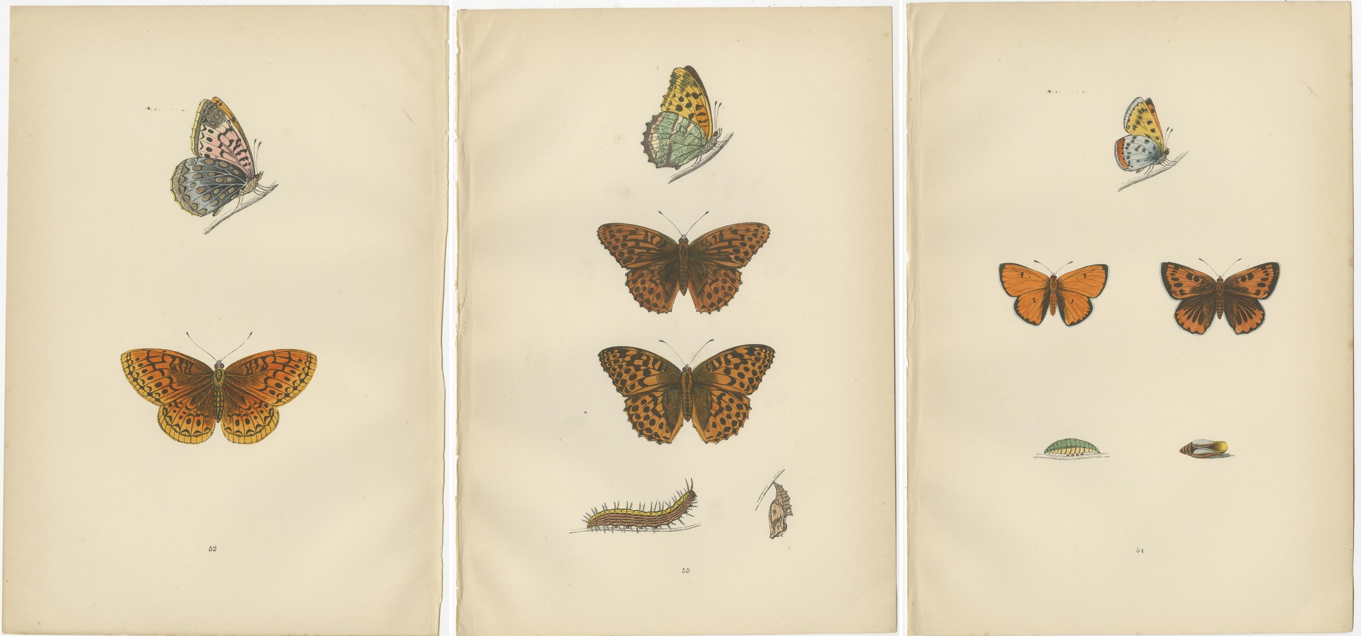Paper Vintage Wings: The Fritillary and Copper of Morris's 1890 Enchantment For Sale