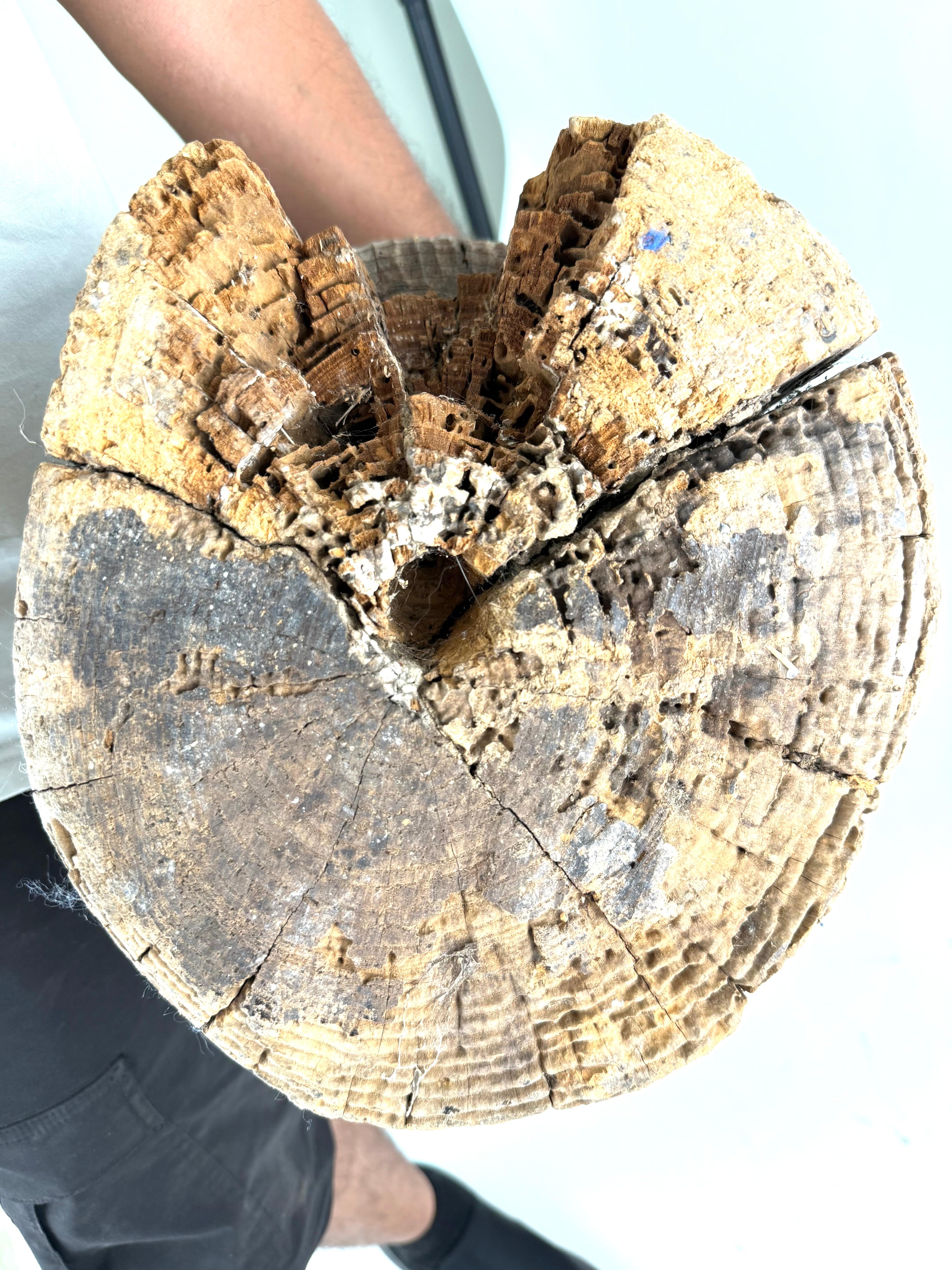 Scultura astratta in legno vintage con splendida finitura Driftwood in vendita 9
