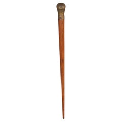 Vintage Wood and Brass Walking Stick