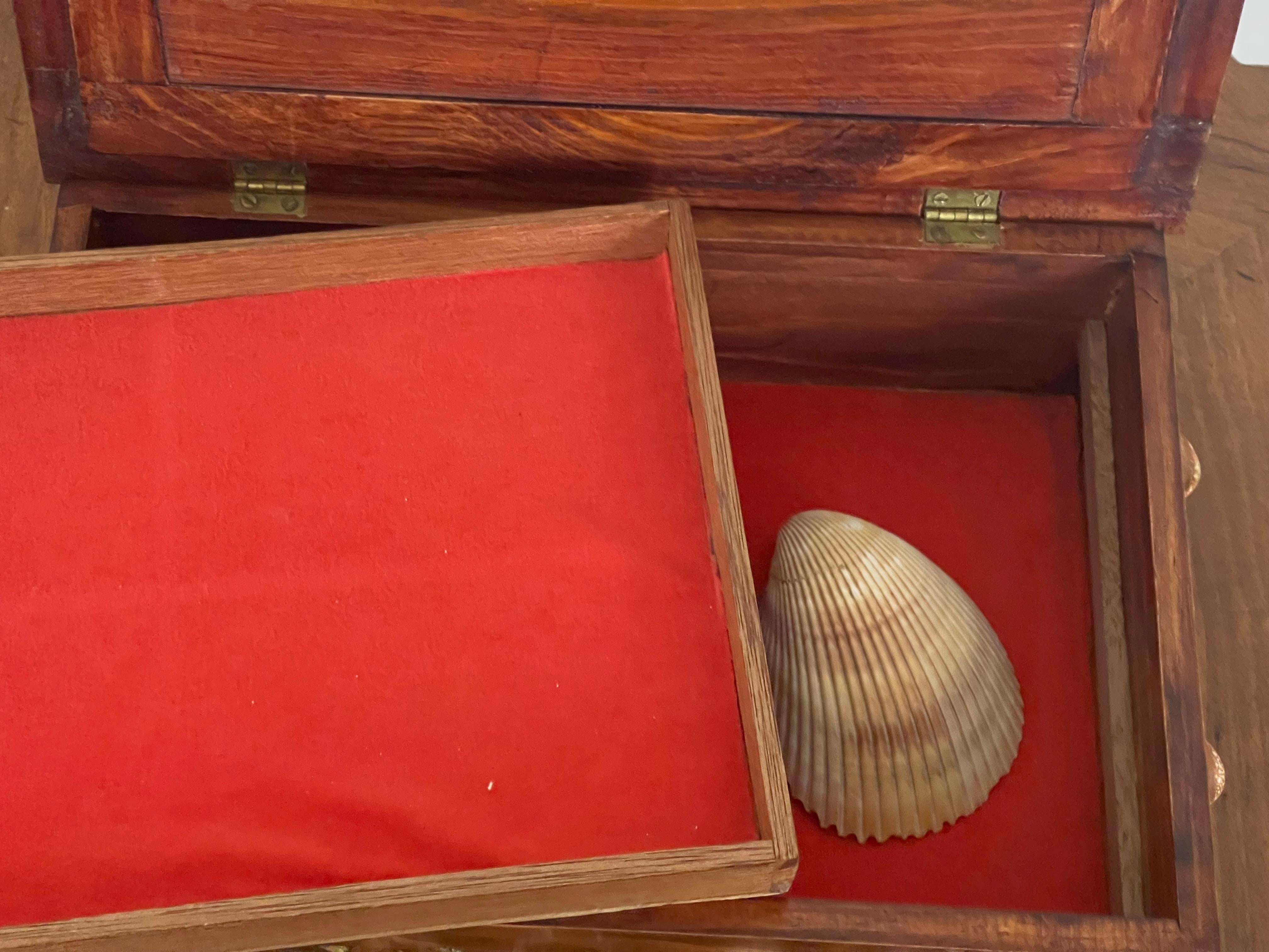 Scatola Wooding d'epoca con conchiglie Sez in stile Tony Doucquett in vendita 1