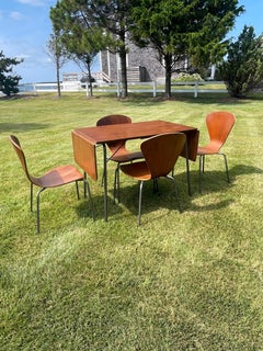Tavolo Foldes in Wood vintage con quattro sedie in legno di bengala nello stile di Arne Jacobsen