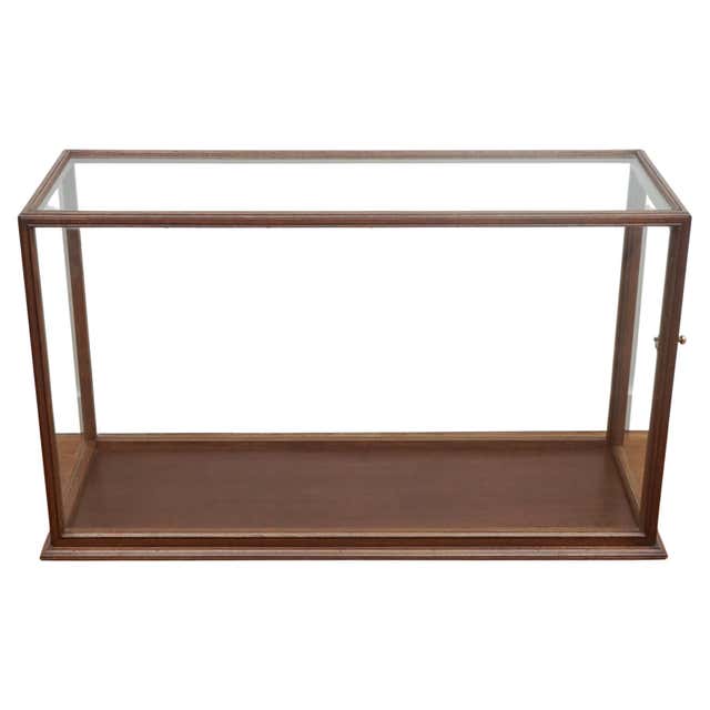 Large Museum Display Case at 1stDibs | museum display cases, museum ...