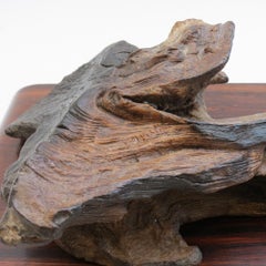 Vintage Wooden Freeform Charred Wooden Sculpture