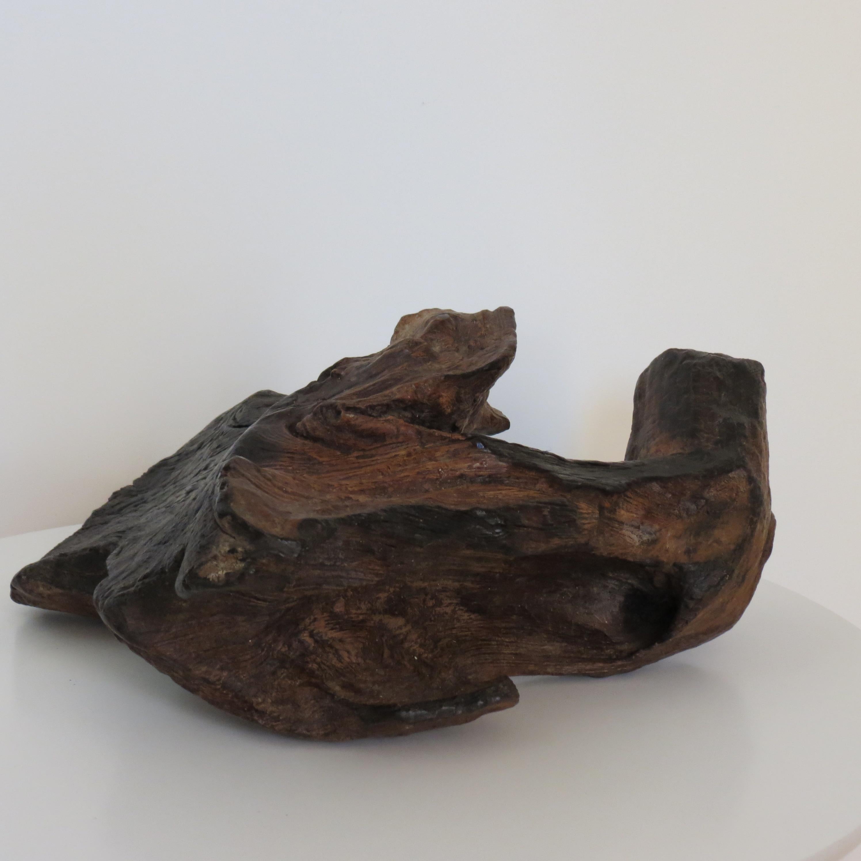 20th Century Vintage Wooden Freeform Charred Wooden Sculpture For Sale