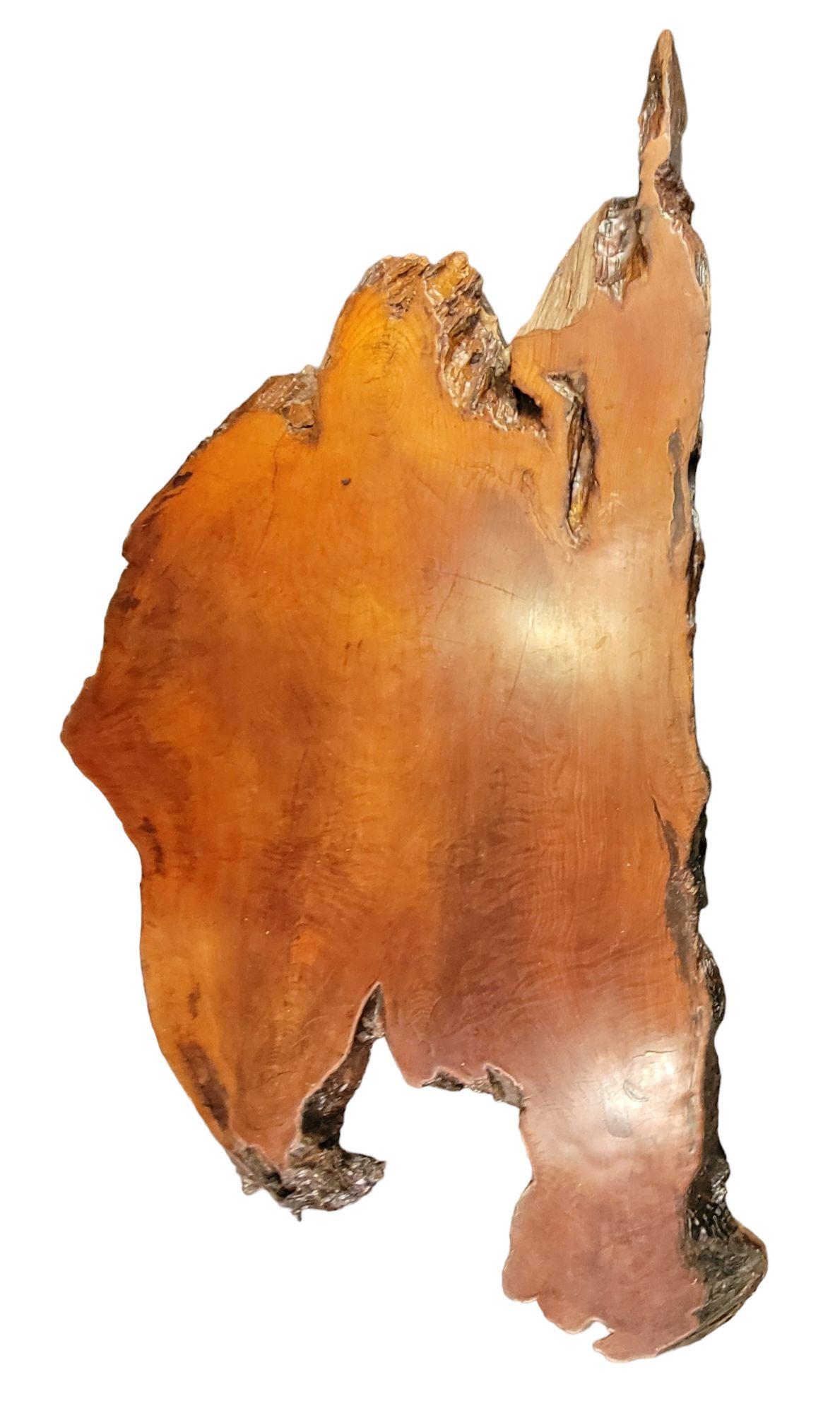 20th Century Vintage Wooden Slab Tree Trunk Coffee Table