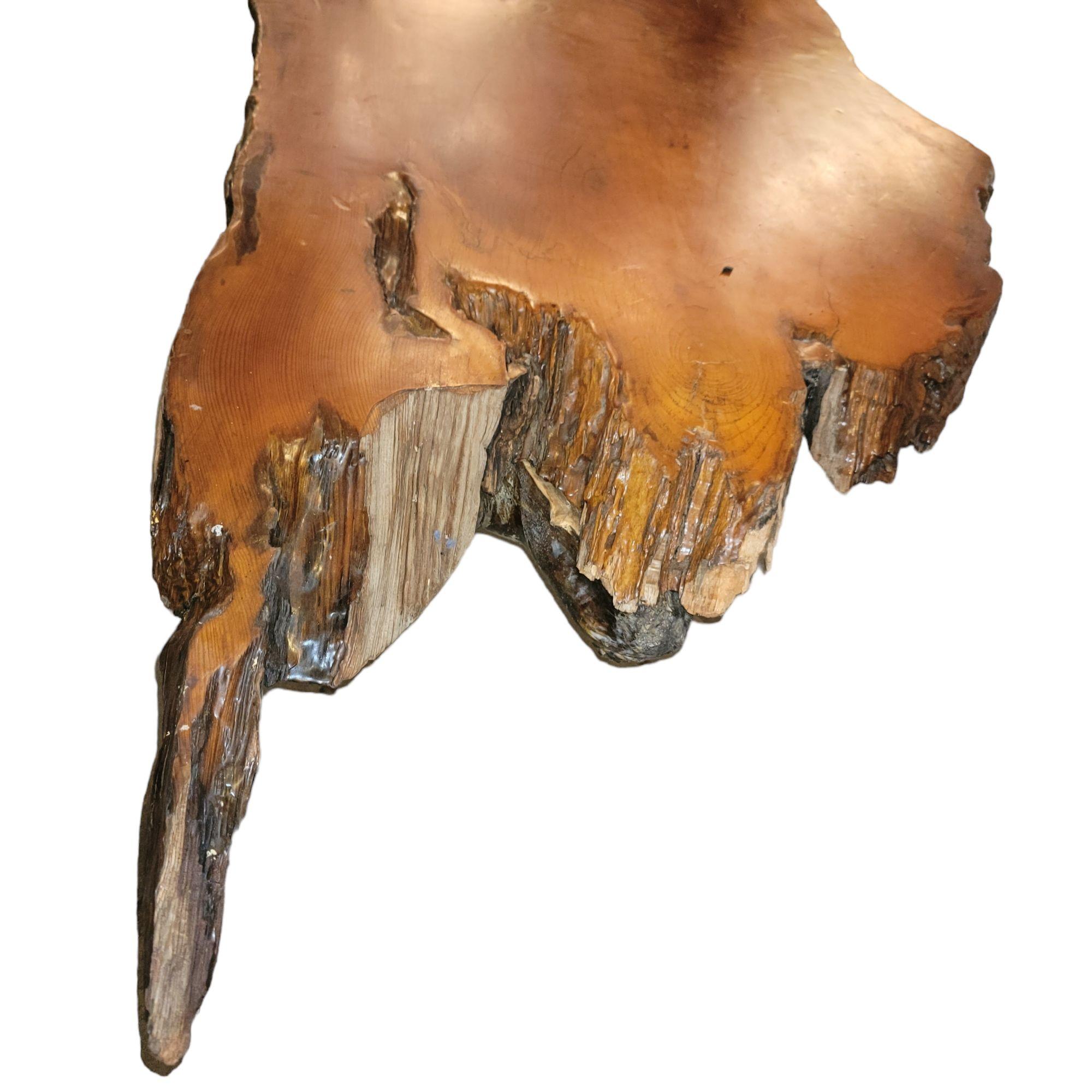 Vintage Wooden Slab Tree Trunk Coffee Table 1