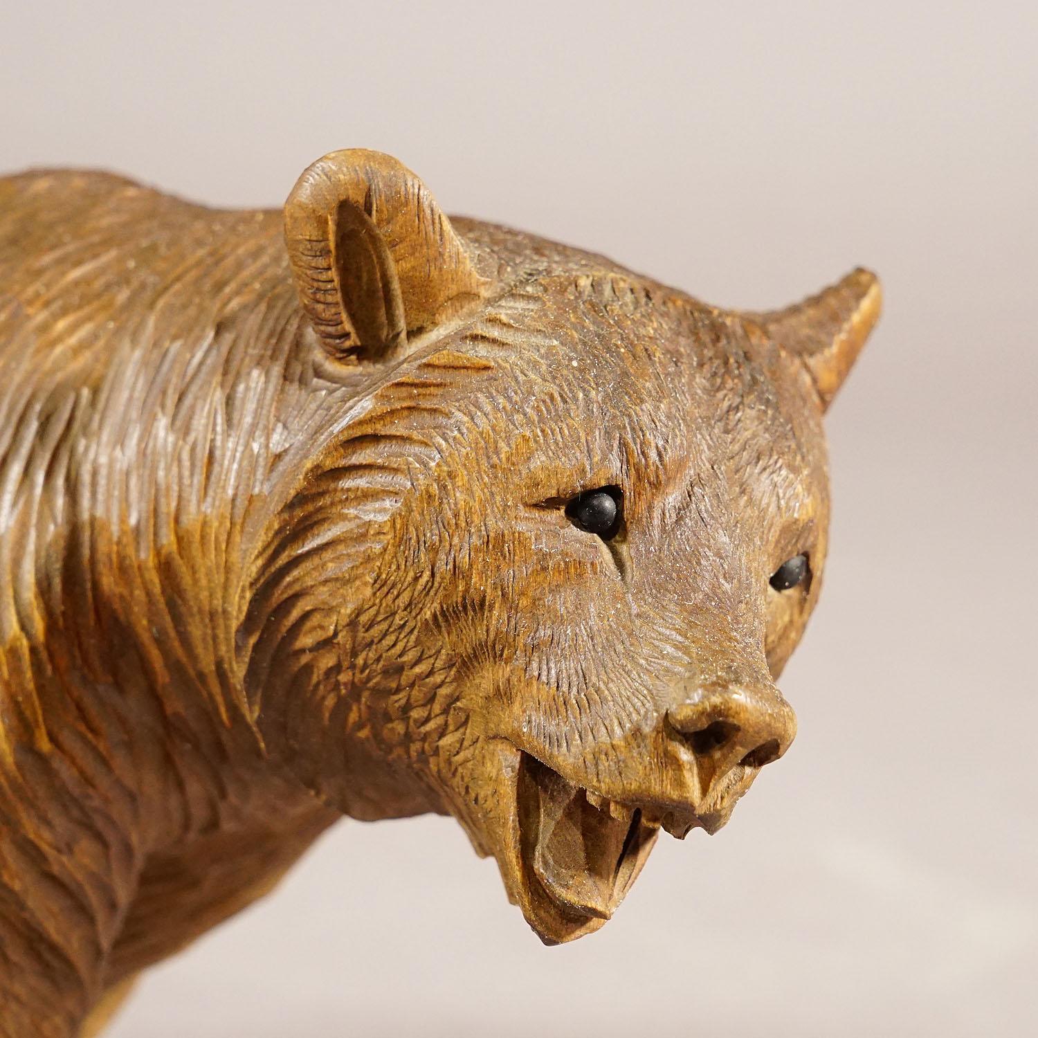 Swiss Vintage Wooden Strolling Bear Hand Carved in Brienz, circa 1930s