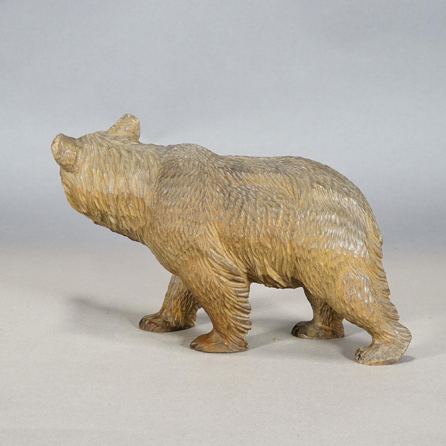 Oso andador vintage de madera tallado a mano en Brienz ca. 1930 Bosque negro en venta
