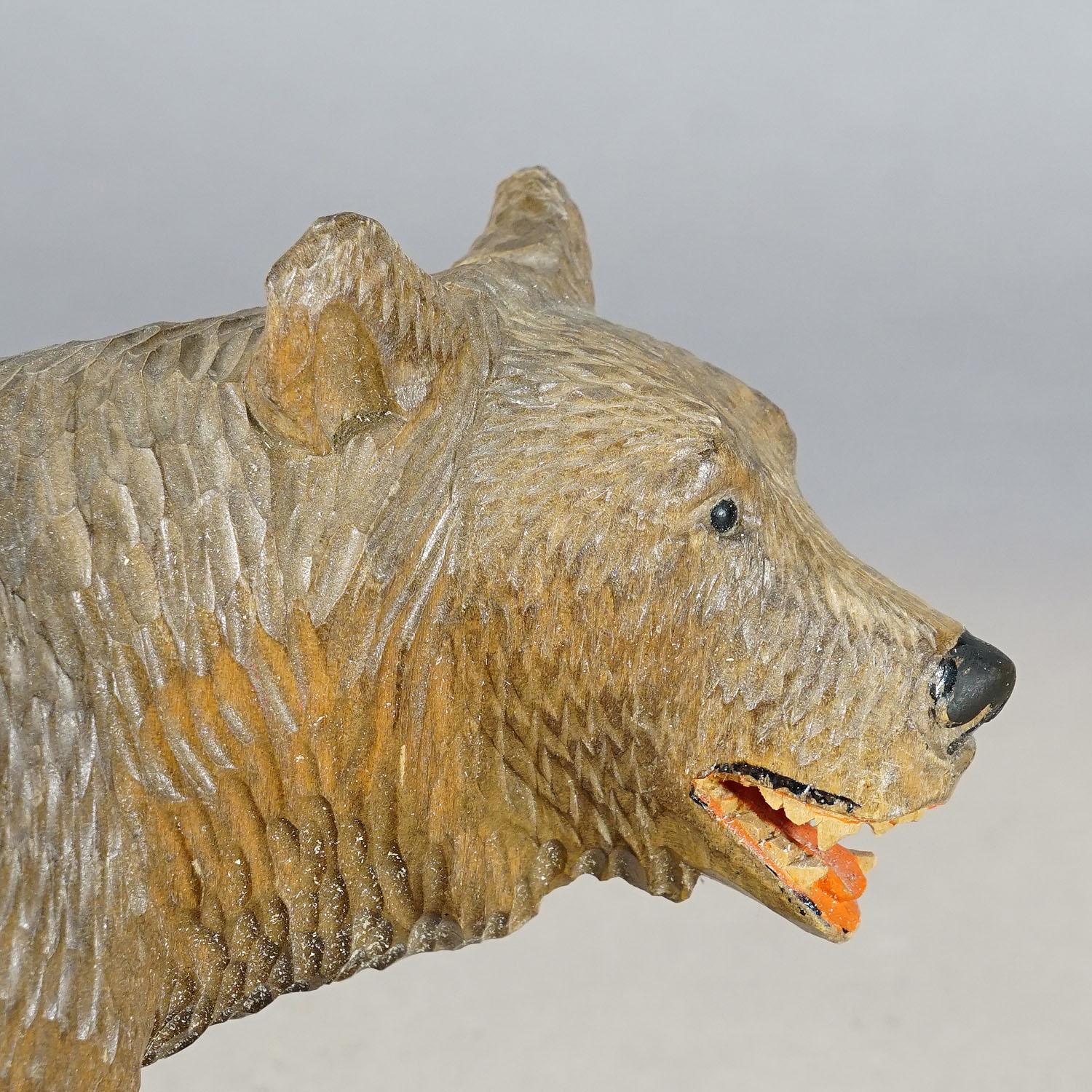 Suisse Ancien ours de marche en bois sculpté à la main à Brienz, vers 1930 en vente