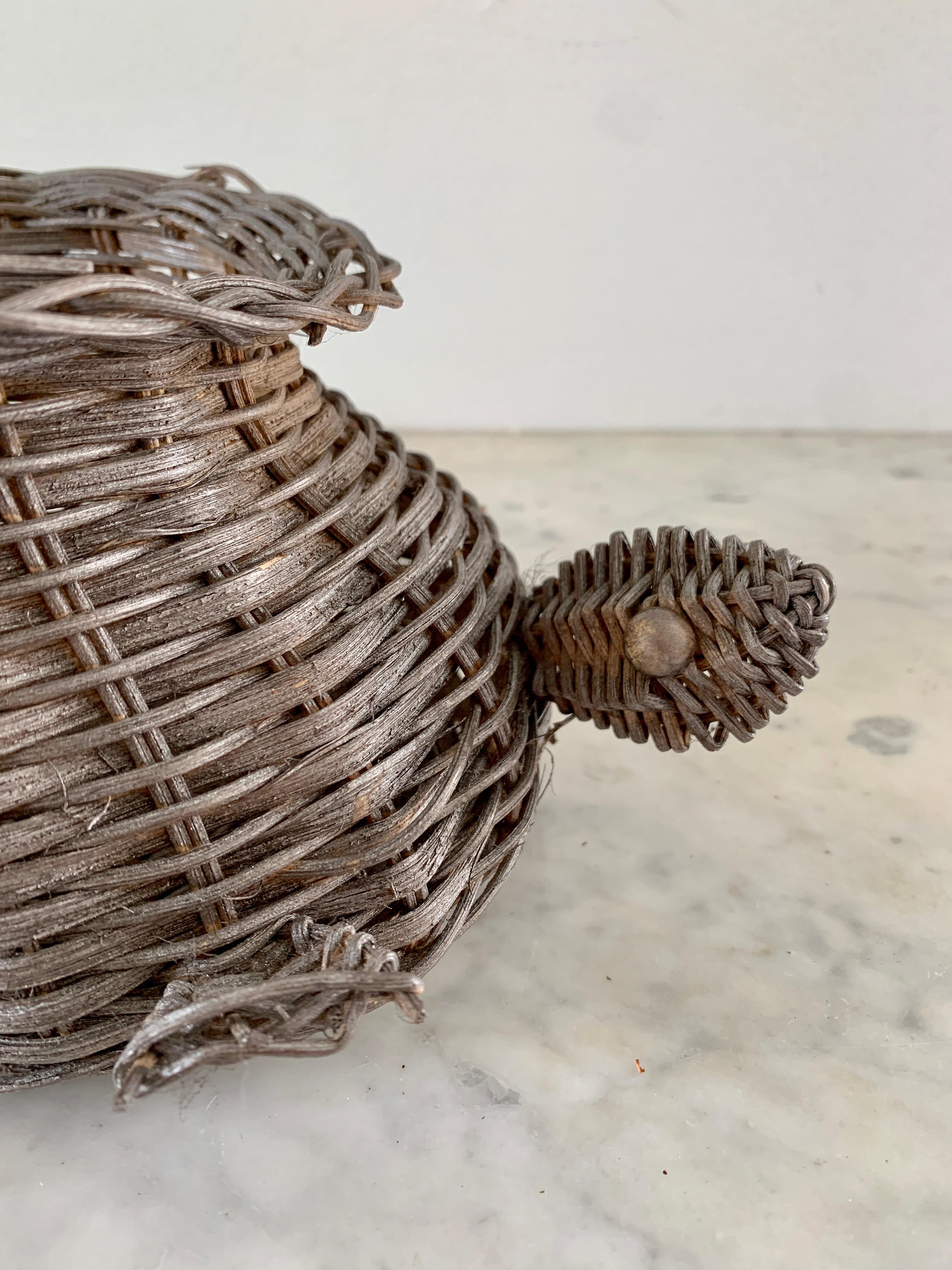turtle storage basket