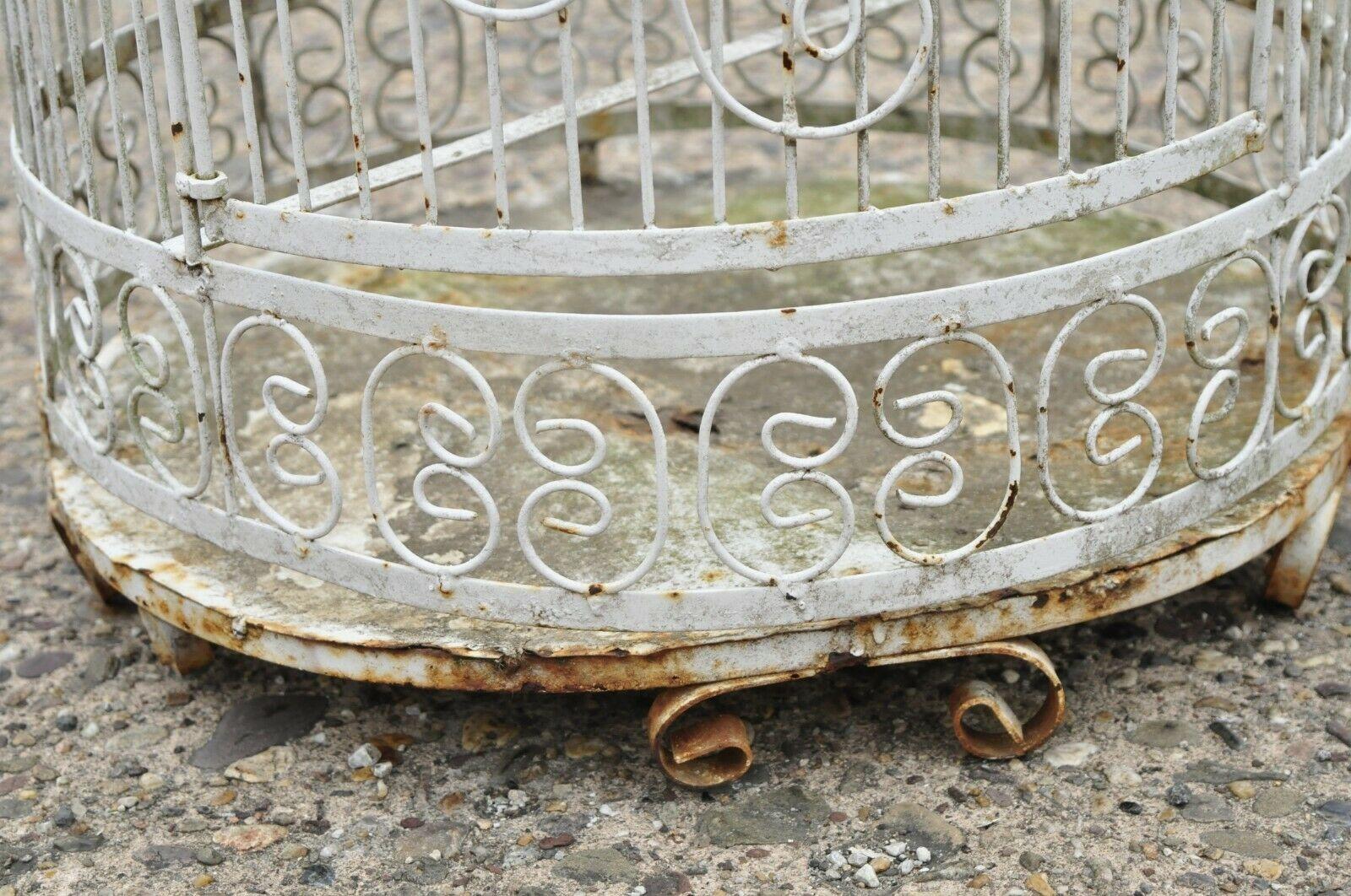 Cage à oiseaux de jardin vintage en fer forgé de style victorien en métal à fil métallique à volutes en vente 5