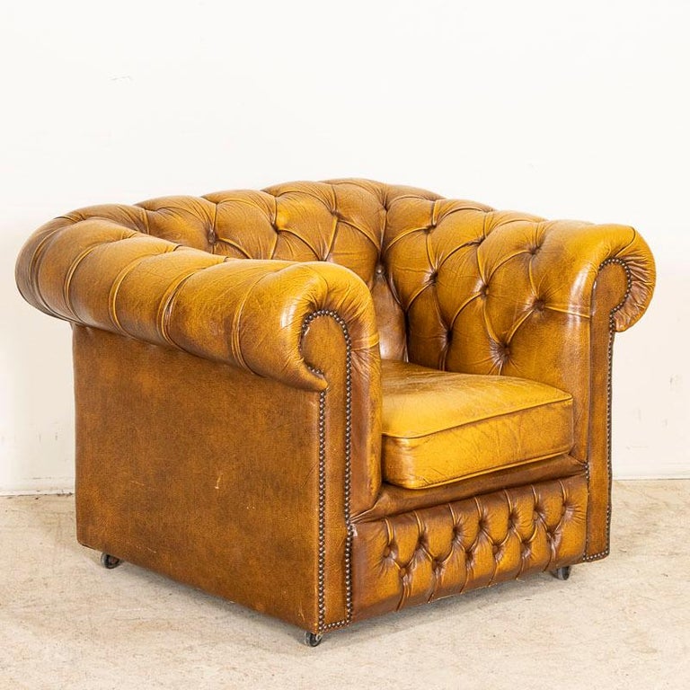 Original leather Chesterfield club chairs are highly sought after today. The yellow-brown vintage leather here is accented with the traditional tufted buttoned Chesterfield back, heavily rolled arms and nailhead accents. The leather is in used