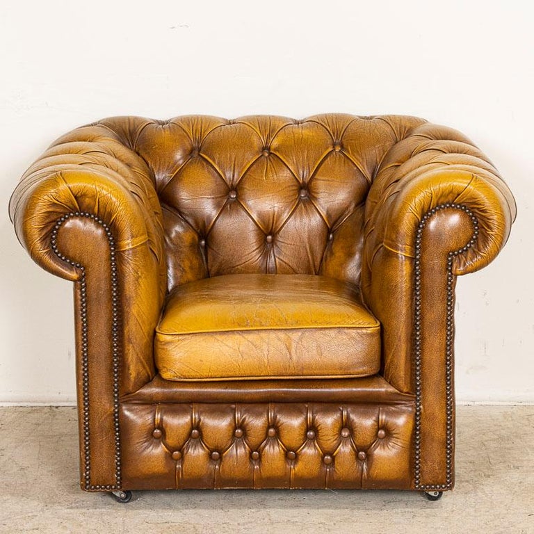 English Vintage Yellow Brown Leather Chesterfield Club Chair from England