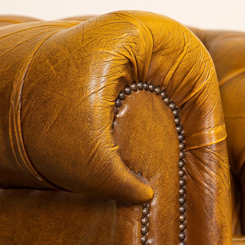 English Vintage Yellow Brown Leather Chesterfield Club Chair from England