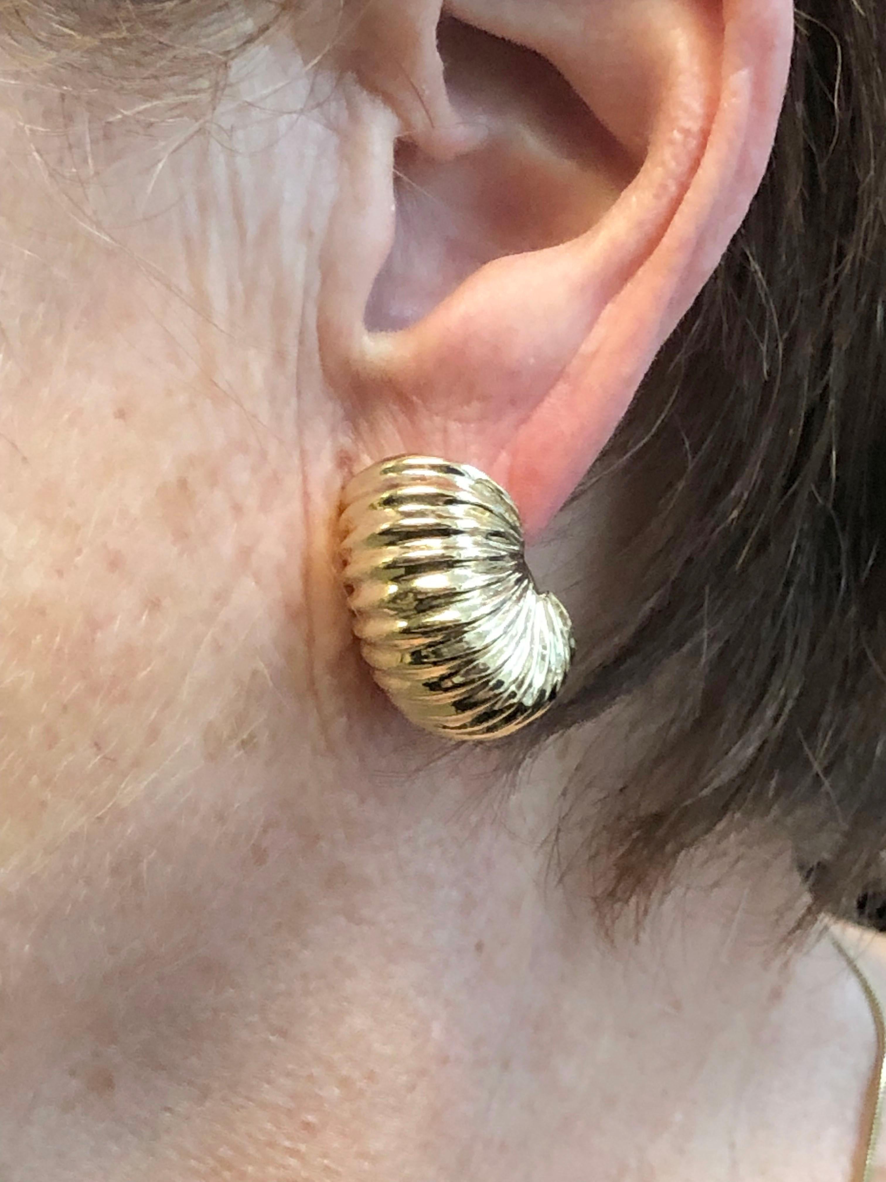 Women's or Men's Vintage Yellow Gold Shrimp Scalloped Earrings