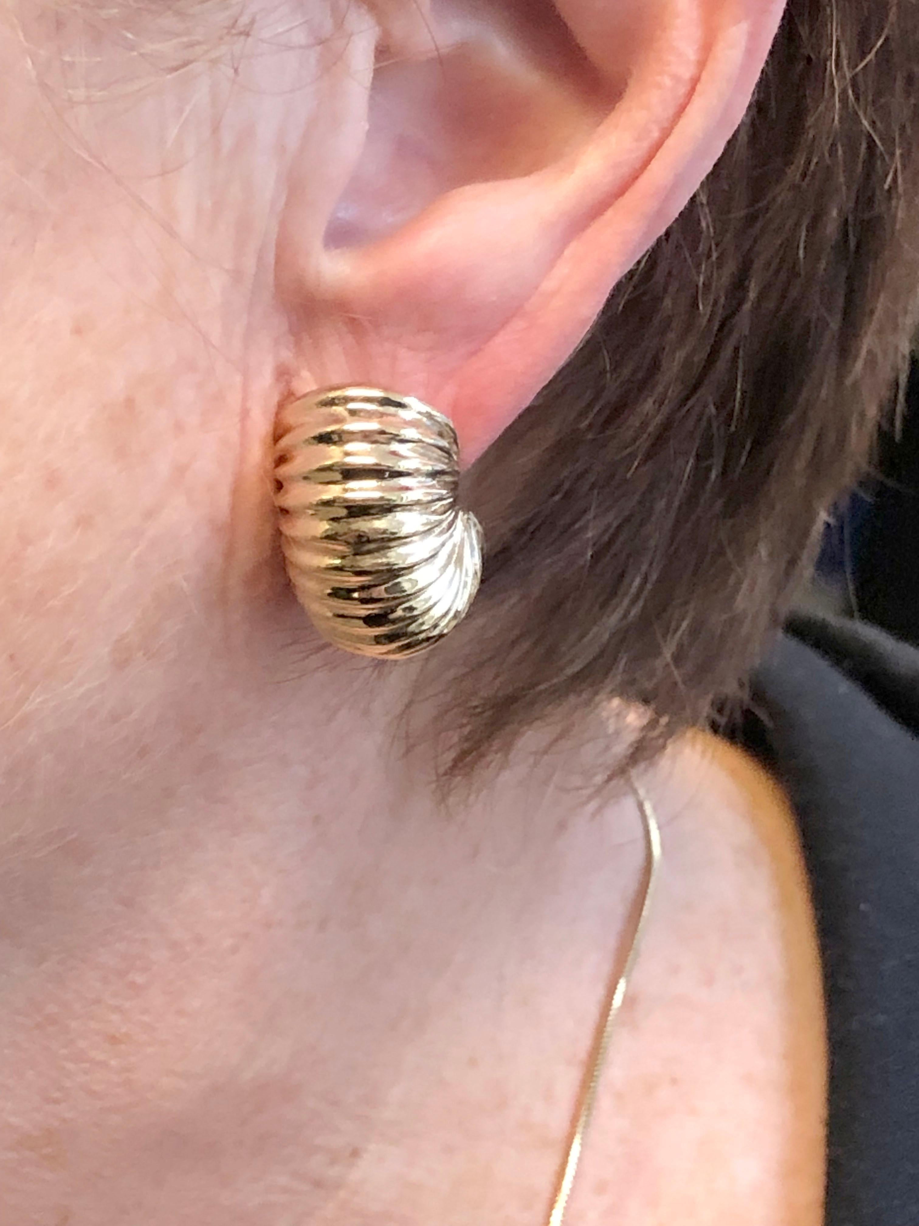 Vintage Yellow Gold Shrimp Scalloped Earrings 1