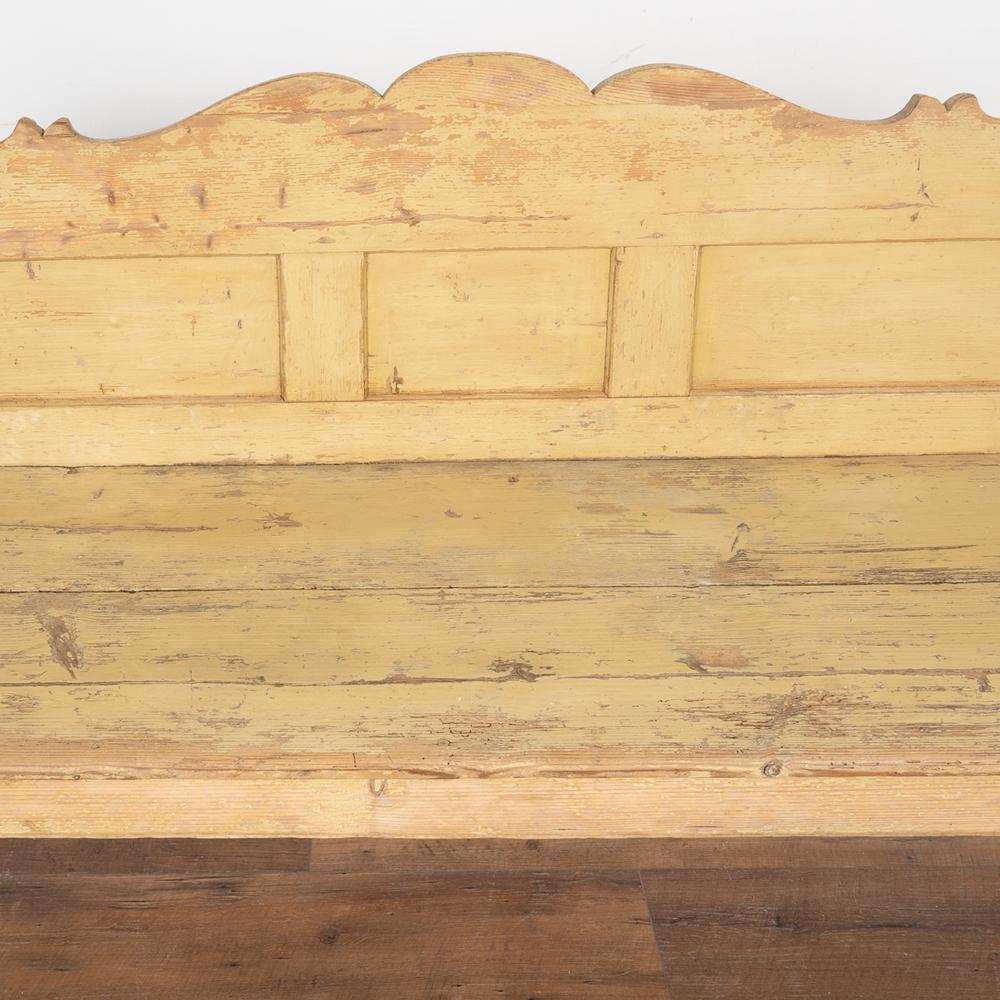 Vintage Yellow Painted Pine Bench, circa 1900s 5