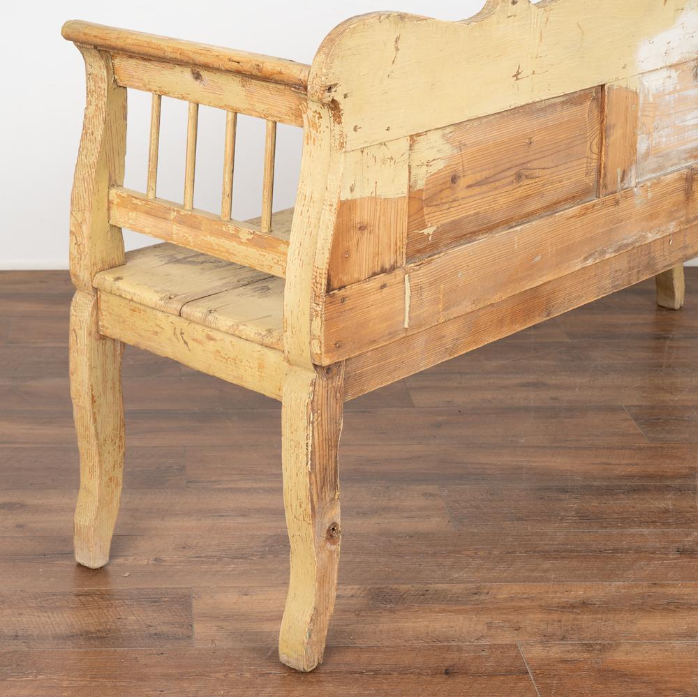 Vintage Yellow Painted Pine Bench, circa 1900s 6