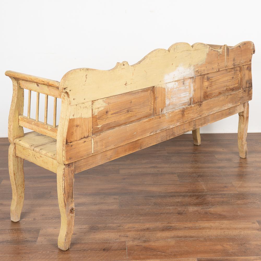 Vintage Yellow Painted Pine Bench, circa 1900s 7