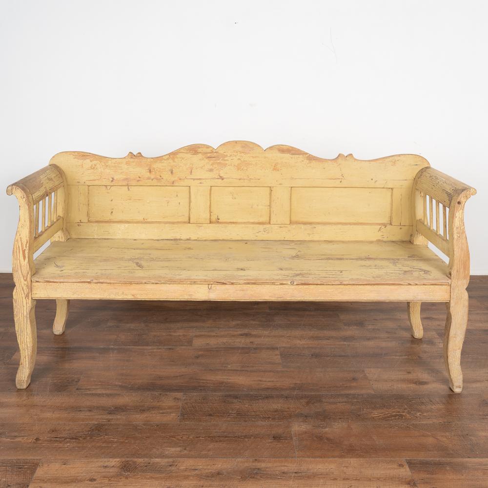 Country Vintage Yellow Painted Pine Bench, circa 1900s