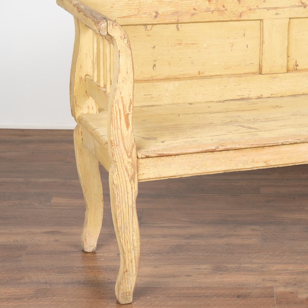 Vintage Yellow Painted Pine Bench, circa 1900s 1