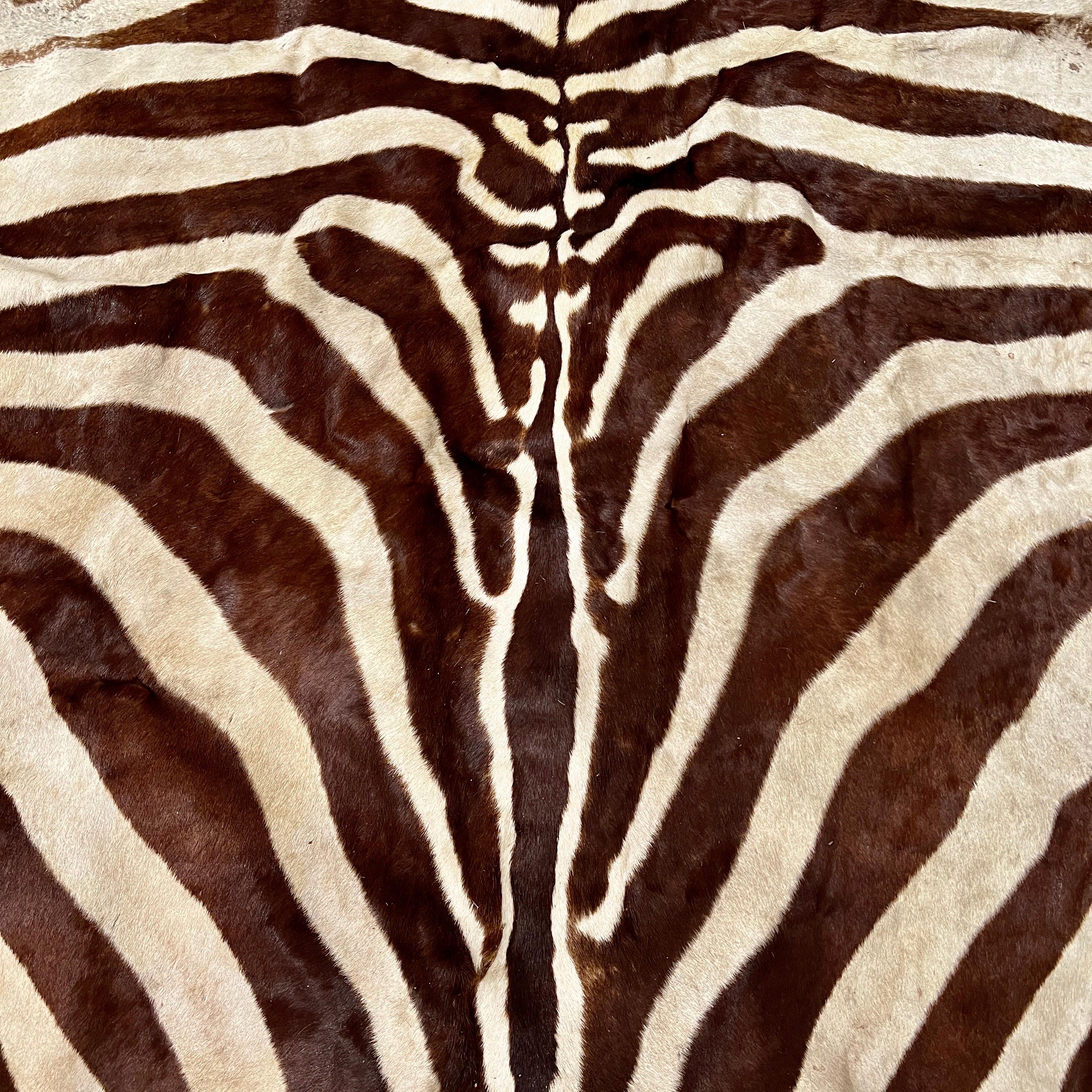 Vintage Zebra Hide Rug, Africa, c. 1970's 5