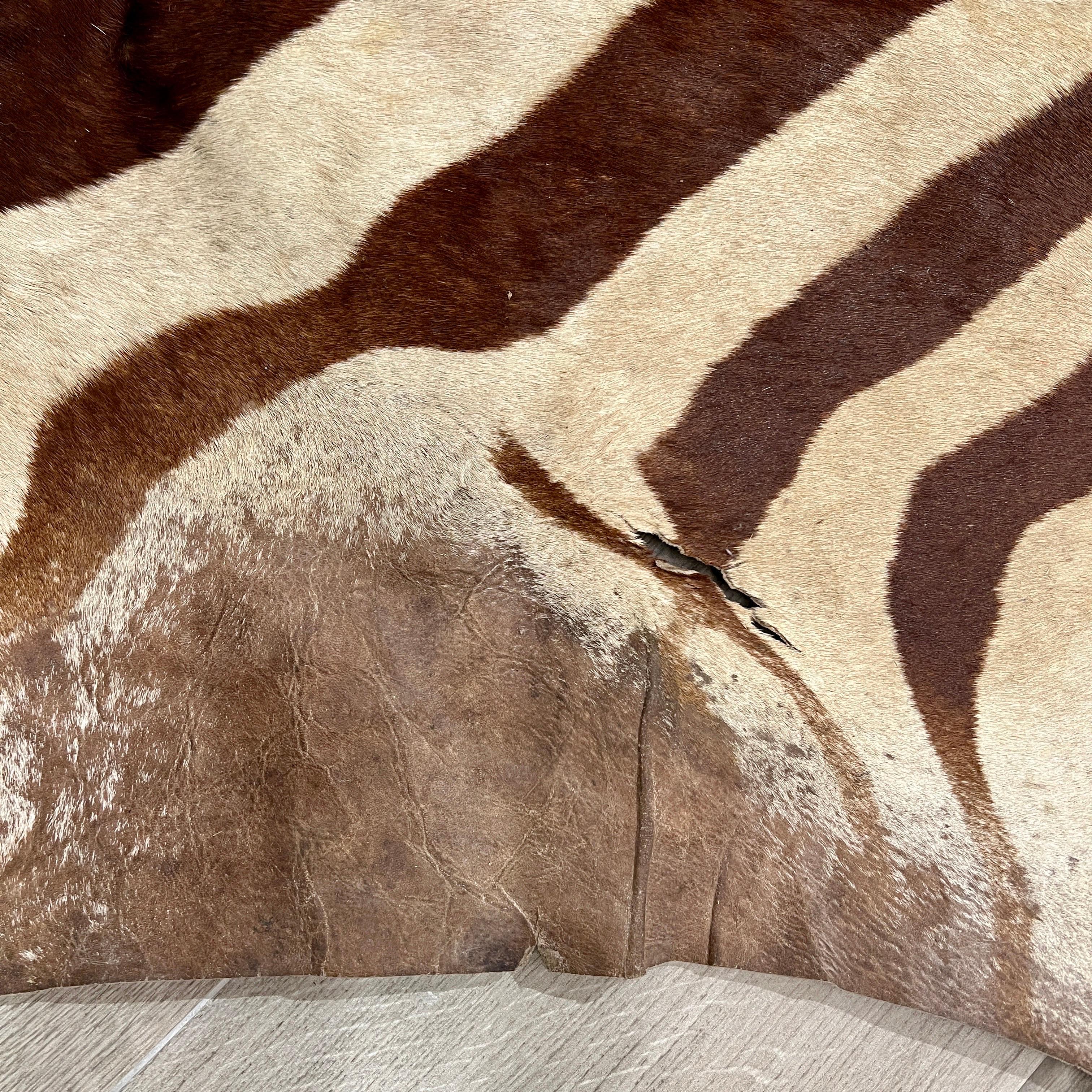 Tappeto vintage in pelle di zebra, Africa, anni '70 circa 2