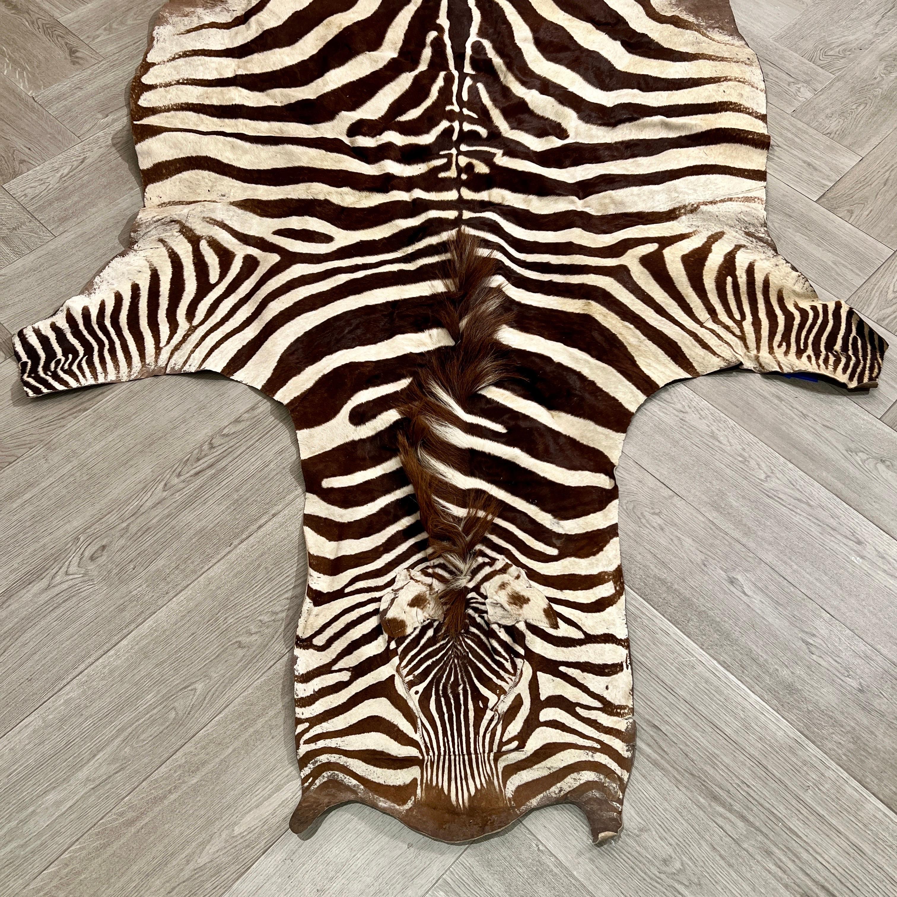 Vintage authentic zebra hide.  Can be used as a safari rug, as tapestry, or as upholstery.  In hues of cream and dark brown, the hide is in great vintage condition with only a few small areas of distress or loss.